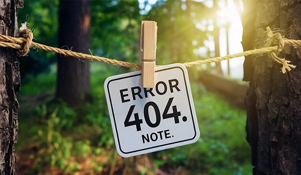 403 forbidden xətası ekran görüntüsü və həll yolları sxemi